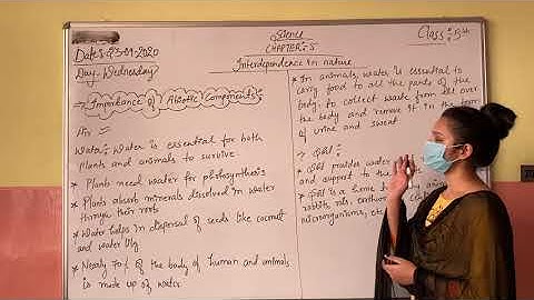 Interdependence in nature| Class-5th| Science | Chapter-5