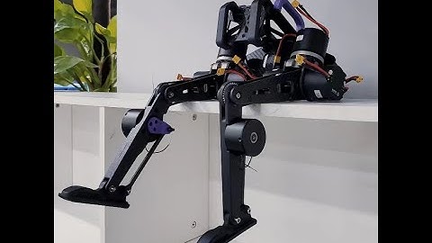 We made a bipedal robot.