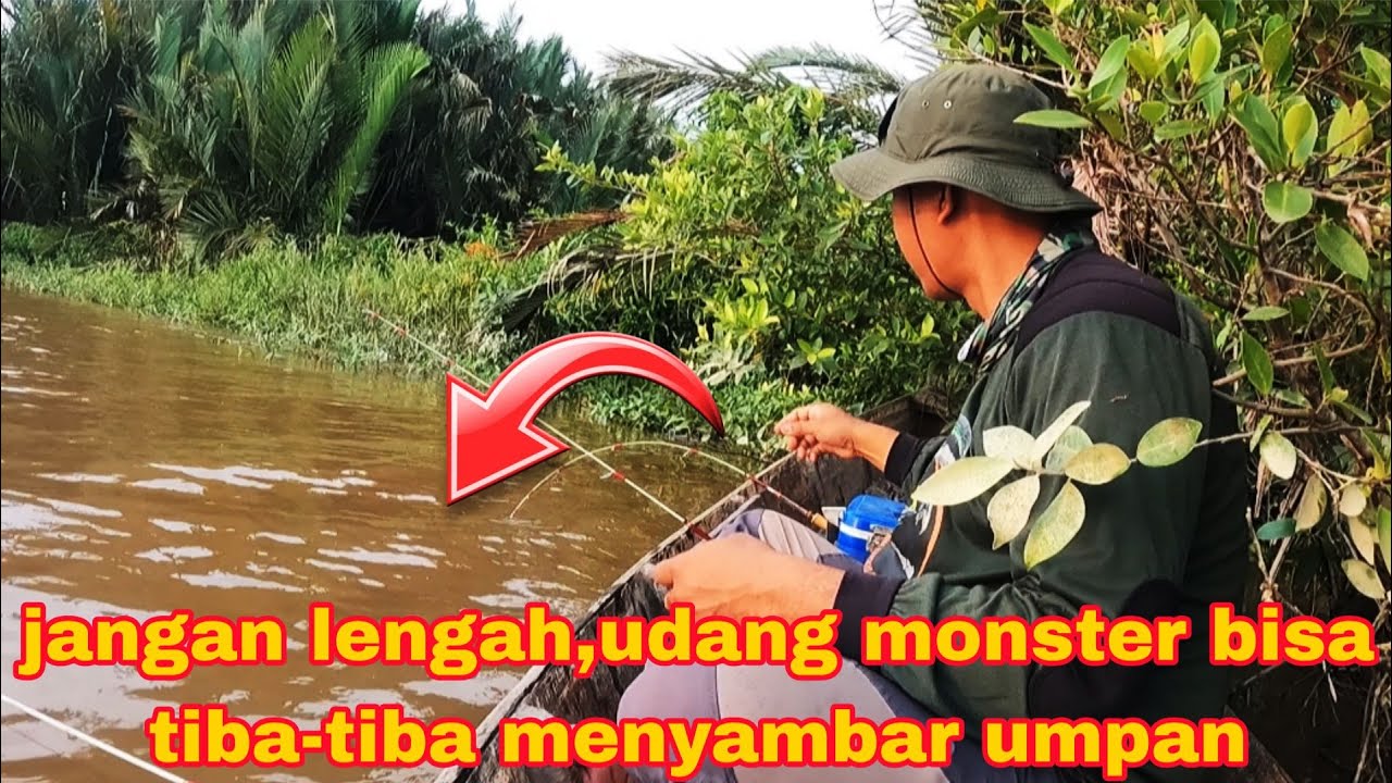terkejut pancingku di sambar udang galah monster saat mancing udang galah di selat cina