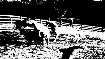 Enbilulugugal - Return to Hellrokken GoatSex (Official Video)