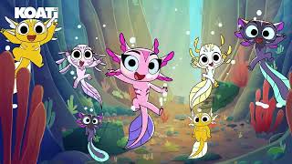 Clip De La Canción Koati Canta, Baila Y Disfruta