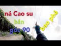 Bắn chim bằng ná Cao su/góc 90 bắn bao phê/sĩ đỏ slingshot/