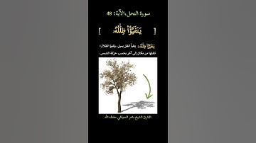 سورة النحل 🐝[الآية: 48] القارئ الشيخ ماهر المعيقلي حفظه الله