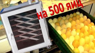 Инкубатор на 500 яиц для КФХ
