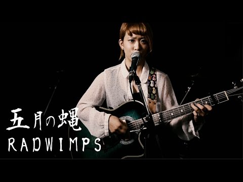 「五月の蝿」 RADWIMPS / カバー かさね