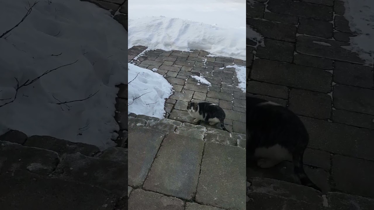 Привет, Кэрри! Дастин спрашивал о тебе. 