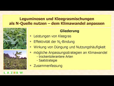 Leguminosen und Kleegrasmischungen als N-Quelle nutzen – dem Klimawandel anpassen