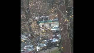 MTA: Bx22 Buses | December 14, 2023