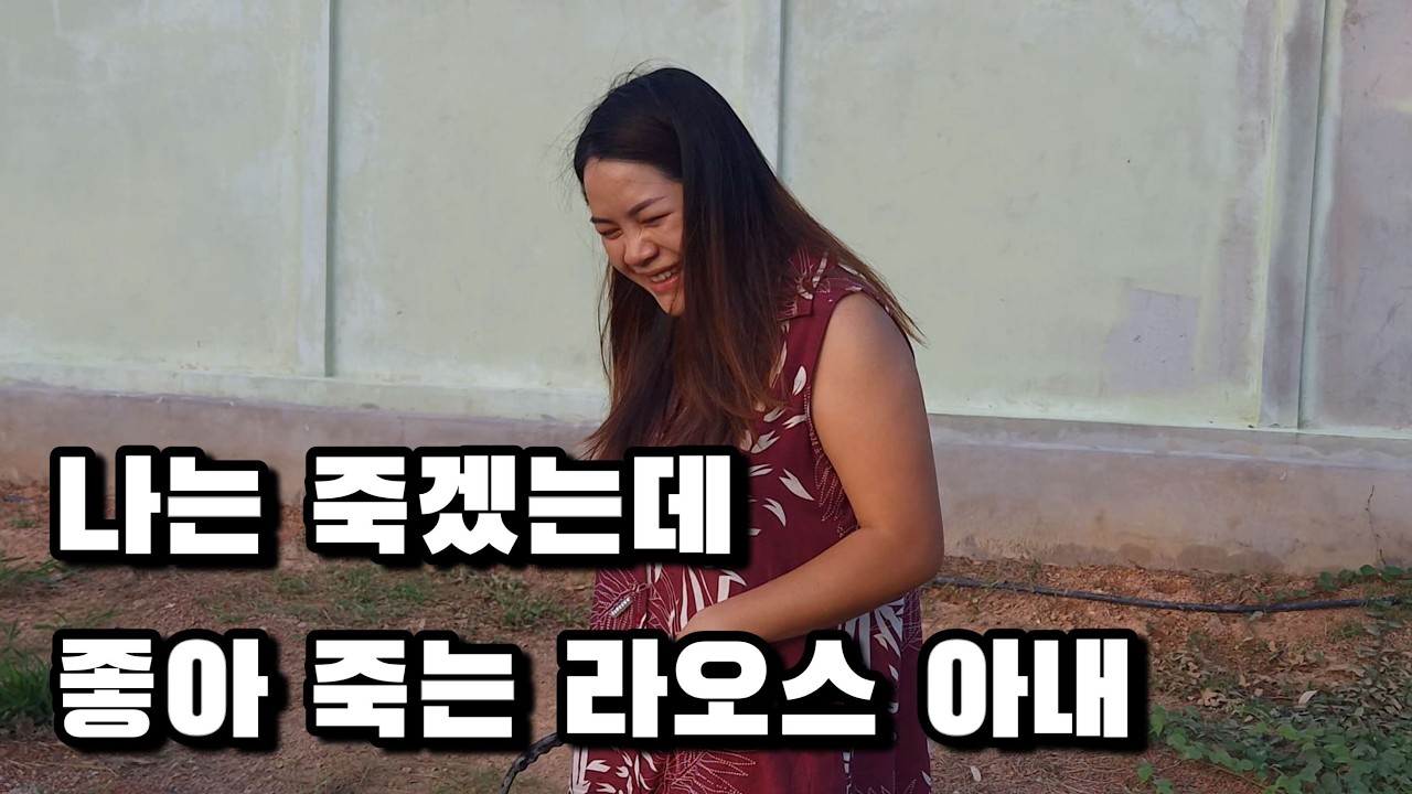 라오스 집 닭장 개선 작업했는데 꼬꼬들이 바로 관심 보이네요