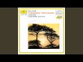 Miniature de la vidéo de la chanson Violin Concerto In A Minor, Op. 53: Ii. Adagio Ma Non Troppo