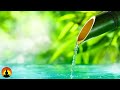 🔴 Relaxing Music 24/7, Meditation Music, Sleep Music, Healing Music, Spa, Relax, Study Music, Zen