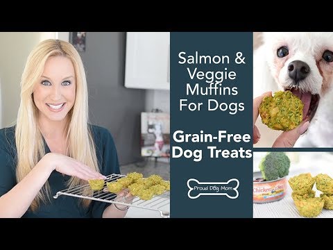 Salmon & Broccoli Muffins For Dogs
