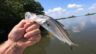 FISHING THE INDIAN RIVER LAGOON