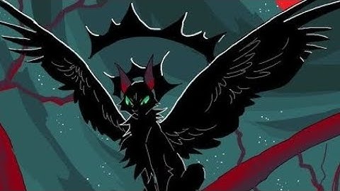 All the things they said || Warrior cats Hollyleaf