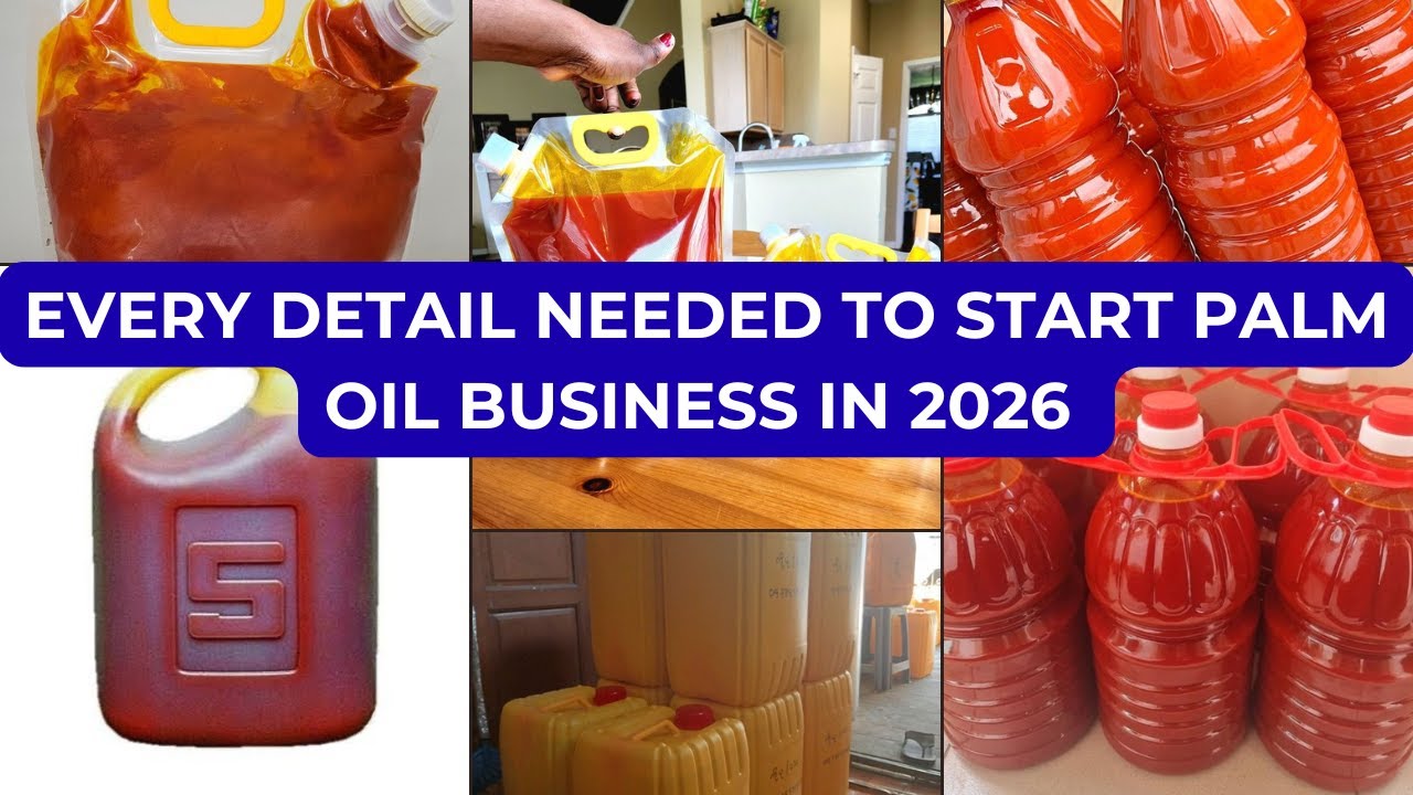 How to start a profitable palm oil business in Nigeria (2026 )