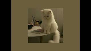 Corinne Bailey Rae - Put Your Records On (Sped Up)