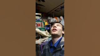 Coming Soon To Zorua635: The jobeanvideos Show