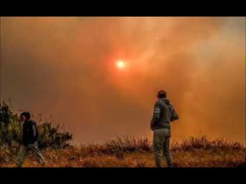 αριθμοί