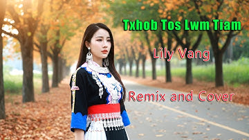 Txhob Tos Lwm Tiam - Lily Vang (Remix and Cover)