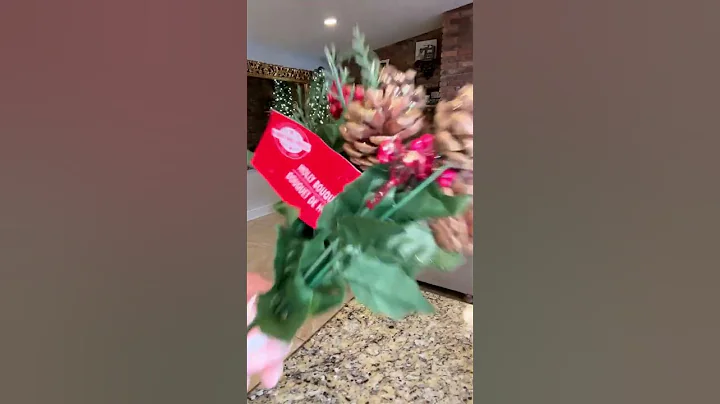 🎄 Dollar Tree Christmas Swag #christmaskitchen #dollartree #christmasdiydecor