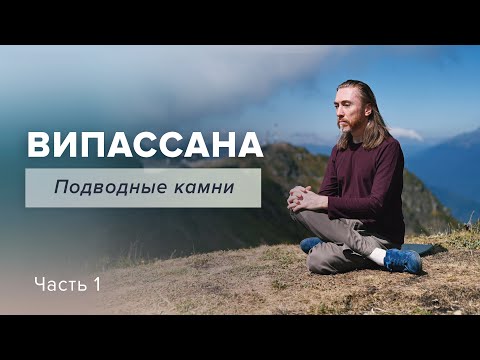 Vídeo: Com I On Aprendre Vipassana