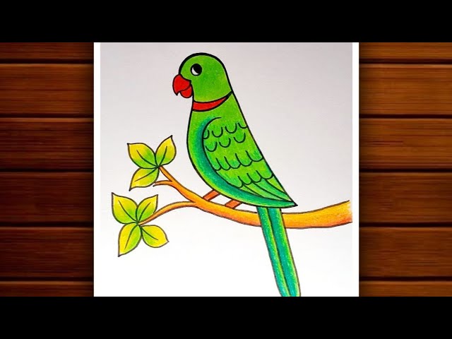 Parrot Drawing  How to Draw Parrot Step by Step for Beginners  Bird  Drawing Colour  YouTube