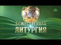 Божественная литургия 24 февраля 2019 года