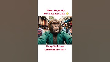 Monkey vlog funny 🤣 #ai #funny #viral #monkey #monkeyvideo #monkeyvlog #monkeyai #veo3 #comedy #vlog