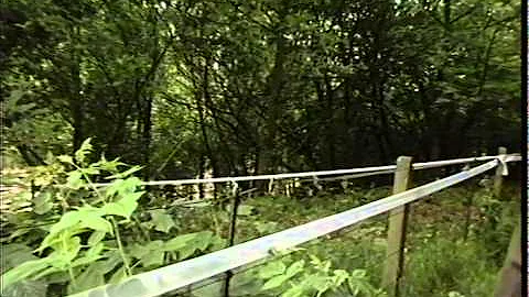 MURDERS: Anne LOCK