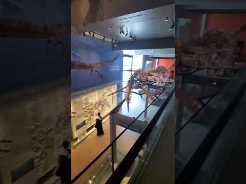 Video: Naturhistoriska museet i Los Angeles County