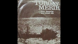 Turgay Merih- Bana Benzerler (Orijinal Plak Kayıt) Resimi