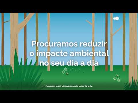 Serviços - Saica Natur (PT)