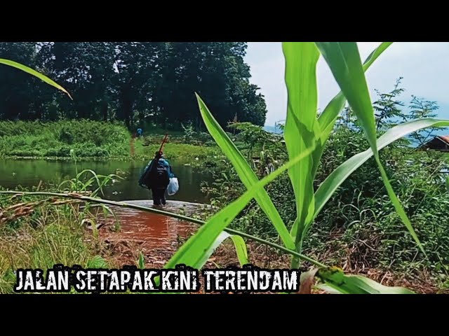 CAMP FISHING Ep.104 Bangun Bagan atas air masak dan tidur sendirian class=