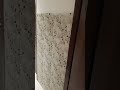 Wall Panel Urban Company Beautiful home 🏡..#interiordesign #wallpanel #homedecor #shortsfeed