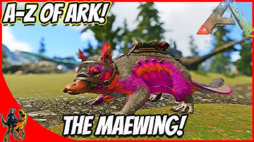 A-Z Of Ark! The MAEWING!! || Ark Survival Evolved!