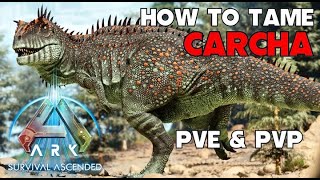 ARK survival Ascended | How To Tame -  CARCHARODONTOSAURUS-The BEST way to tame at 100% and LOCATION