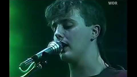 Pale Shelter Live version - Live performance video thumbnail