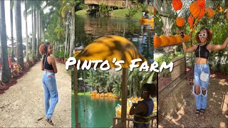 PINTOS FARM MIAMI IN 12 MINUTES