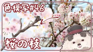 【一緒に朝活】色模写の火曜日＃４６【ゆる～くお絵描き】