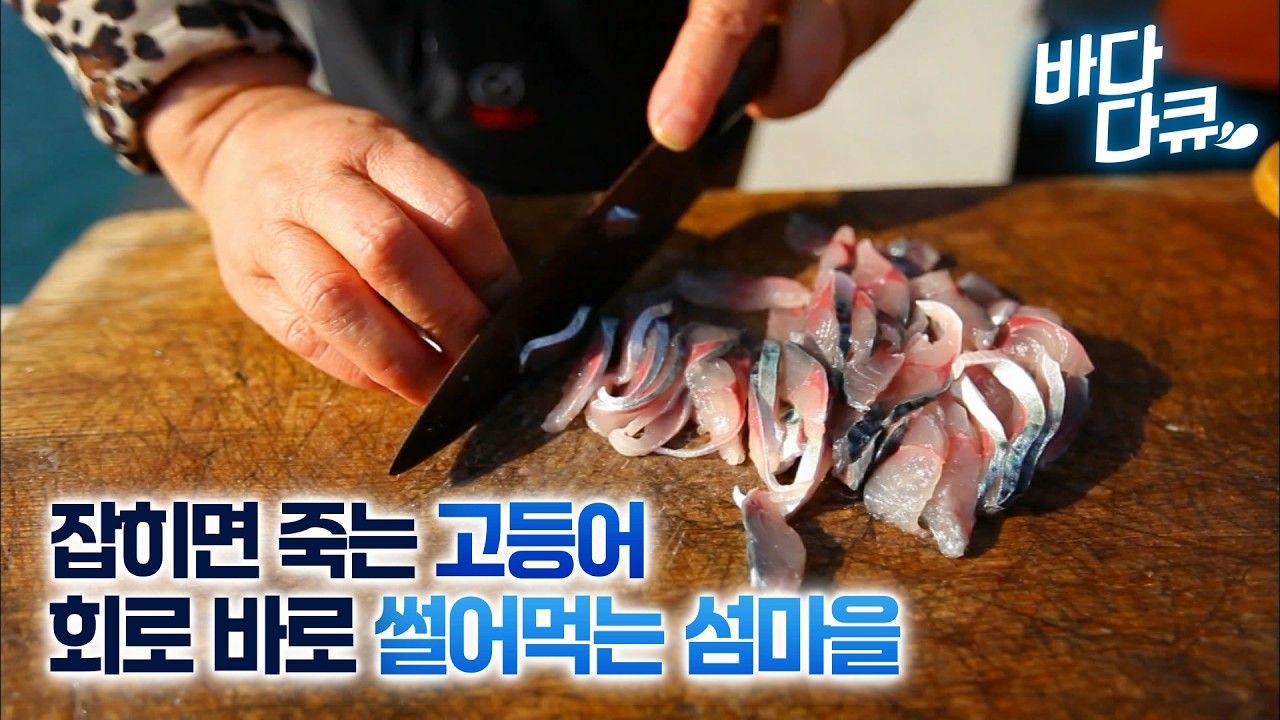 이 섬은 예외다. 일년 내내 고등어 회로 잘만 먹는 특별한 섬마을 / 욕지도 고등어 회 / #바다다큐