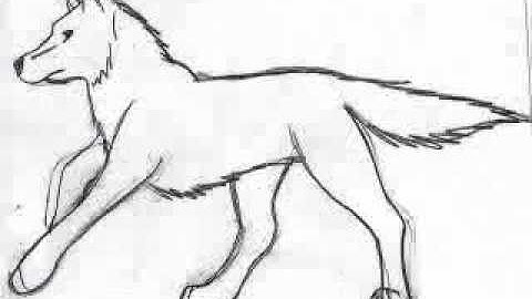 Wolf Run (first animation ever)