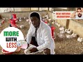 Raising big chickens with less than a dollar on meds