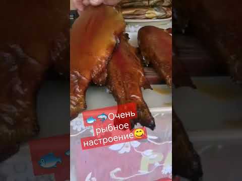 #shorts Гостинцы из Мышкина #рыба #вкусности #волга