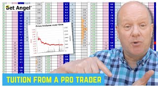 Betfair Trading: Learning from someone who&#39;s been successful!