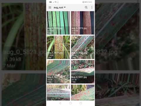 Smart Plant Disease Detection using on-field images