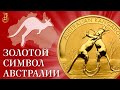 Австралийский Кенгуру, особенности и история золотой монеты.