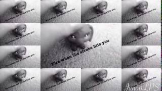LPS TRNDSTTR MEP Part 17 for The LPS Chicken