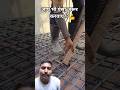 Bar chair fo rebar spacing #shorts #construction #building #civilengineering #youtubeshorts