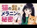 【衝撃】猫のひげに黒い毛が…!これって病気?それとも変化?飼い主が知っておくべき理由