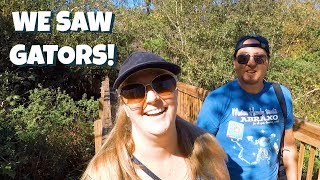 We Saw Gators in Sawgrass Lake Park | St. Petersburg, Florida